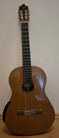 - Zoran Korovljev  F017 Klasszikus gitár - Baráné Kovács Mária [Ma, 13:45]