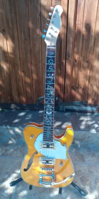 - Zuwei Telecaster E-Gitarre - Aramiszoli [Today, 1:13 pm]