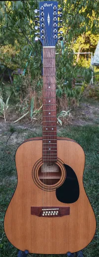 Cort AD 810-12 OP Acoustic guitar 12 strings - Ákos [Today, 3:32 pm]