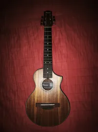 Ibanez EWP14WB-OPN piccolo gitár Akustikgitarre - Antal Enikő [Today, 4:21 pm]