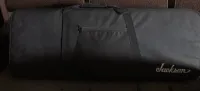 Jackson  Guitar case - compactegon [Today, 9:55 am]