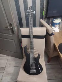 LTD  Bass guitar 5 strings - ZTYPE0110 [Yesterday, 6:00 pm]