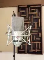 Neumann TLM 103 Studio Set Mikrofon - nemandras [Ma, 16:17]
