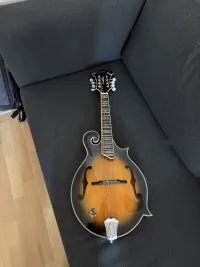 Richwood RMF-100-VS e Mandolin