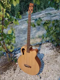 TACOMA Thunderchief cb10c Electro-acoustic bass guitar - Kováts Gergely [Yesterday, 6:05 pm]