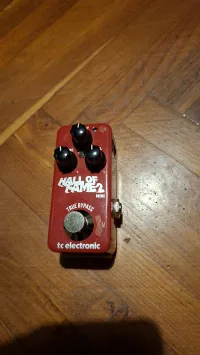 TC Electronic Hall of fame 2 mini
