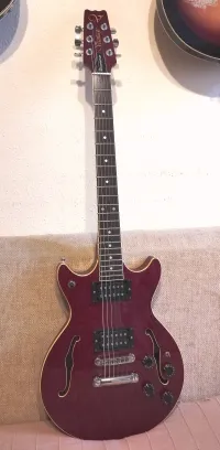 Vantage Entertrainer MIJ Elektromos gitár - Nagy Szabolcs Zoltán [Ma, 10:20]