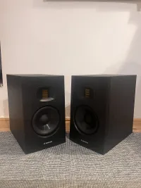 ADAM AUDIO T5V