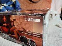BOSS DR. 01 S Trommelmaschine - Ilia Krisztián [Today, 5:59 pm]