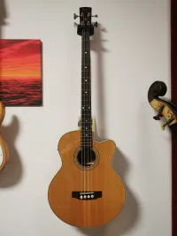 Cort SJ-B CE
