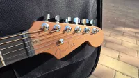 Fender American Acoustasonic Stratocaster ??? [November 13, 2026, 10:10 am]