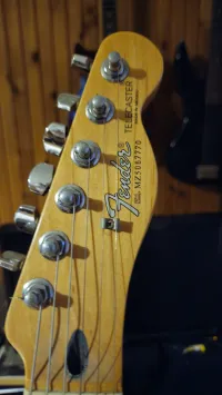 Fender Standard Telecaster MIM, 2005-2006 évjárat E-Gitarre - peti628 [Today, 7:17 am]