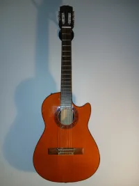 Höfner Professional TWP Classic-N Elektroakusztikus gitár