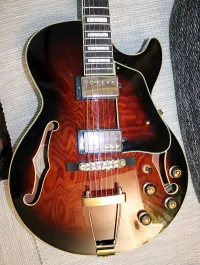 Ibanez AG95QA-DBS Jazzgitarre - Makai Tamás [Today, 8:50 am]
