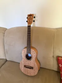 Kala KA20-TE Ukulele - Somogyi Krisztián [Today, 12:49 pm]
