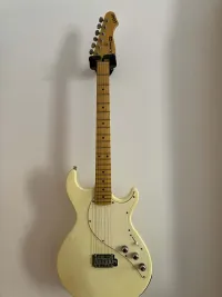 Line 6 Variax 600