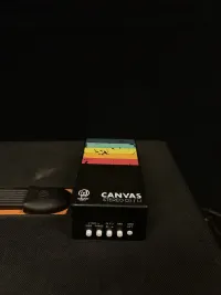 Walrus Audio CANVAS STEREO