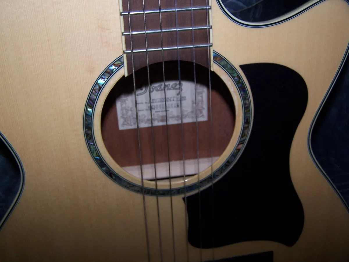 Ibanez AEG 10 NT nylon Elektroakusztikus klasszikus gitár