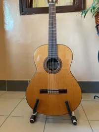 Paco Castillo 203