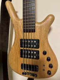 Warwick Corvette Double Buck 5