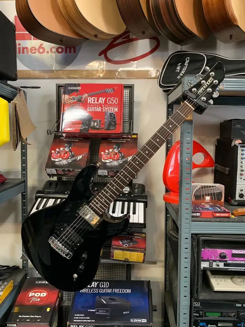 Fernandes APG SCORPION - 弦楽器、ギター