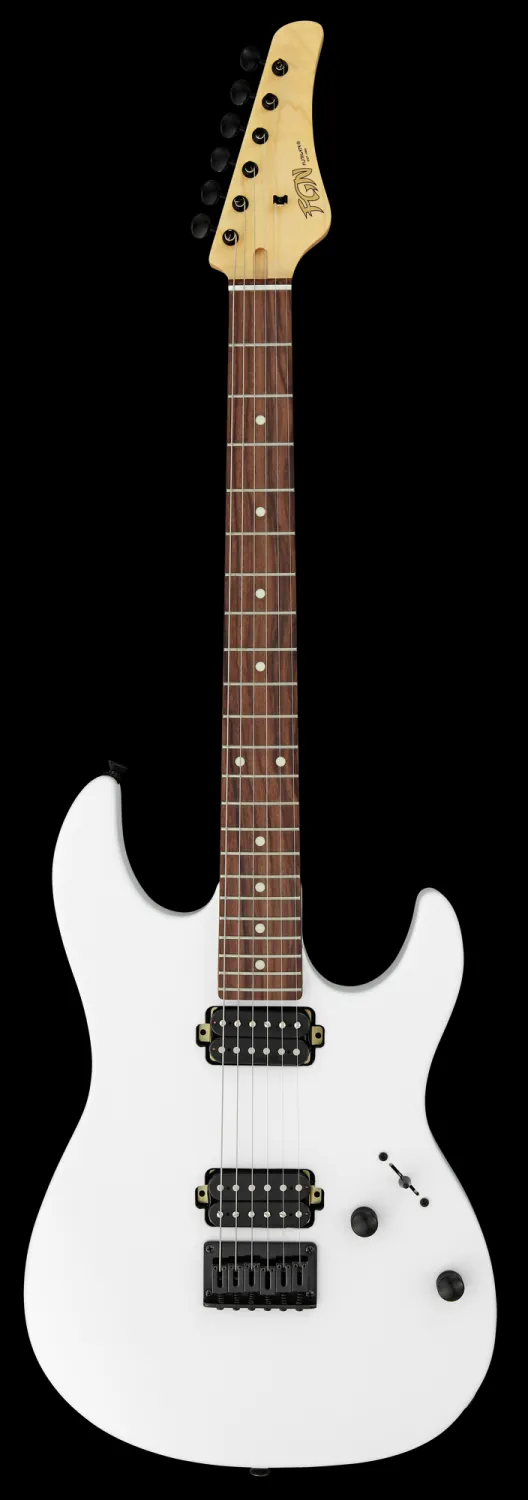 FGN (Fujigen) Boundary Odyssey Elektromos gitár