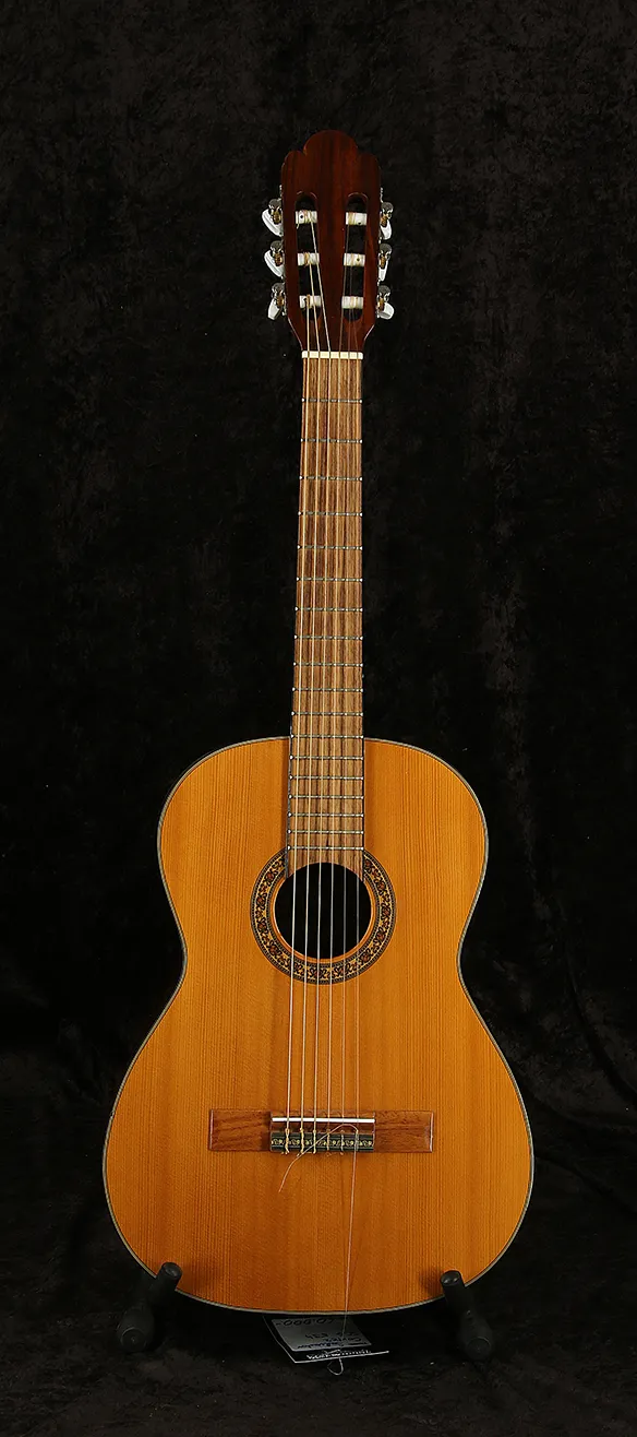 Cortez SCG 534 Akusztikus gitár