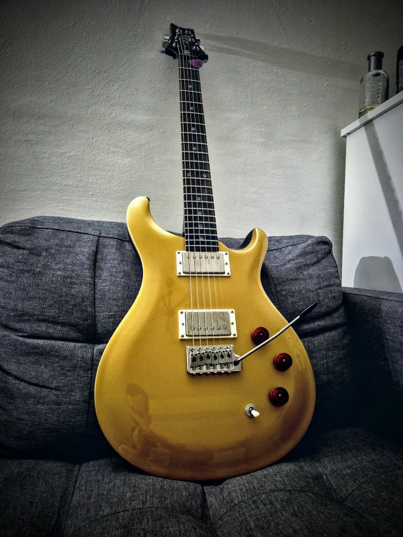 PRS SE DGT Elektromos gitár