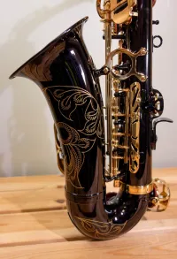 - Eastrock Alt Szaxofon Saxophone - DeltaHangszer [September 21, 2024, 11:43 am]