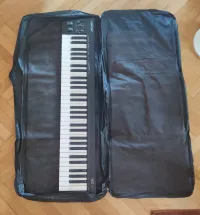 - 61 billentyűs, vízálló Synth case - Vaszil Levente [September 3, 2024, 8:41 pm]