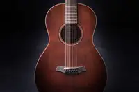 Baton Rouge X11LS-P Acoustic guitar - MusicMall [June 23, 2024, 2:51 pm]
