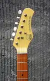 Hondo Deluxe Stratocaster Electric guitar
