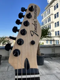 Fender Jim Root Telecaster Electric guitar