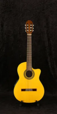 Takamine EG522C Electro-acoustic classic guitar - Vintage52 Hangszerbolt és szerviz [June 11, 2024, 12:29 pm]