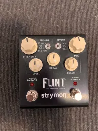 Strymon Flint Reverb pedal - Tamaskó Szabolcs [April 29, 2024, 7:16 am]