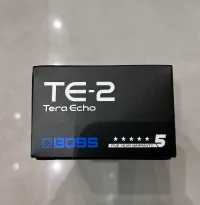 BOSS TE-2 Terra Echo