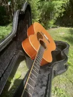 - Larrivée OM-40 Acoustic guitar - Illés Levente [Yesterday, 9:11 pm]
