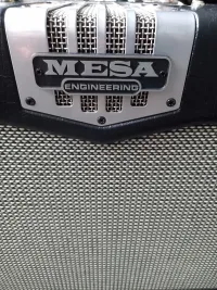 Mesa Boogie TA-30 112 Combo de guitarra - Celluxx [May 6, 2024, 7:14 am]