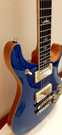 PRS SE McCarty 594 Elektromos gitár - Bandes [2024.03.17. 19:41]