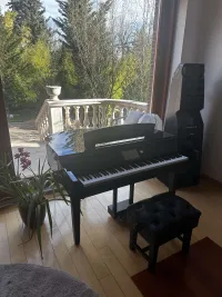 YAMAHA CVP-709GP Piano - Görög Gábor [Today, 11:00 am]