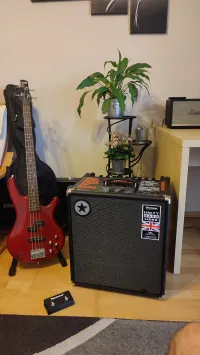 Blackstar Unity Pro Bass 250 Basszusgitár kombó