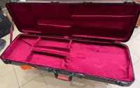 Gator GTSA-GTRBASS Bass Hard Case - BMT Mezzoforte Custom Shop [April 11, 2024, 7:09 pm]