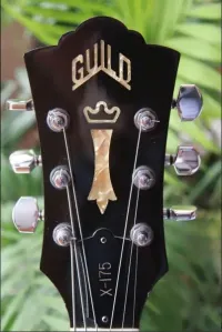 Guild X-175 Jazzgitarre - Apa Apa [April 29, 2024, 7:02 am]