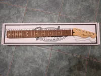 Fender Standard Series Telecaster Pau Ferro