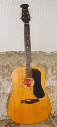Kremona Acoustic Acoustic guitar - Gkati [June 12, 2024, 7:49 am]