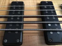Nordstrand DC5 Bass guitar pickup - Doublebass [April 12, 2024, 9:56 am]