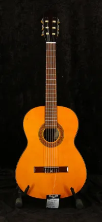 - Jésus Alégré A575 klasszikus Akusztikus gitár - Vintage52 Hangszerbolt és szerviz [2024.04.27. 13:57]