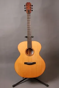 Egyedi készítésű Viszkeleti Acoustic guitar - L Csaba Bardócz [Today, 9:26 pm]