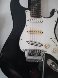 Fender Stratocaster MIJ E-Gitarre - kaya [April 22, 2024, 7:32 pm]