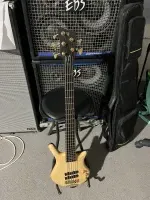 Warwick Thumb bo 5 custom Bass guitar 5 strings - Rikimstr [June 1, 2024, 6:16 pm]
